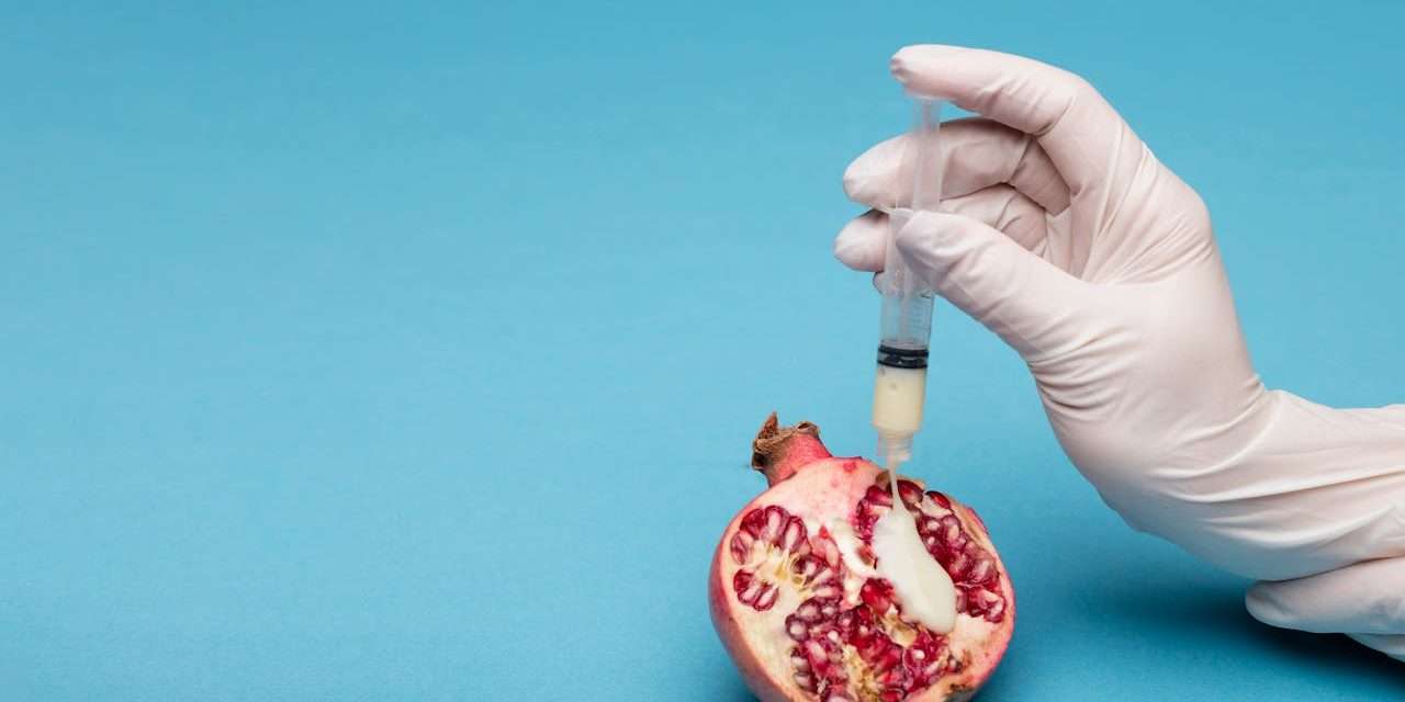 When Nature Says No: Navigating the Powerful Path of IVF