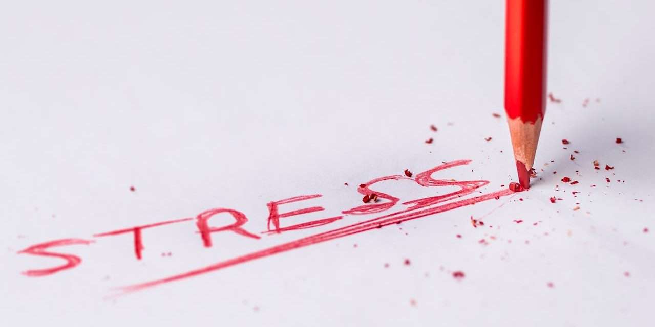 Stress Uncovered: What It’s Really Doing to Your Body and Mind