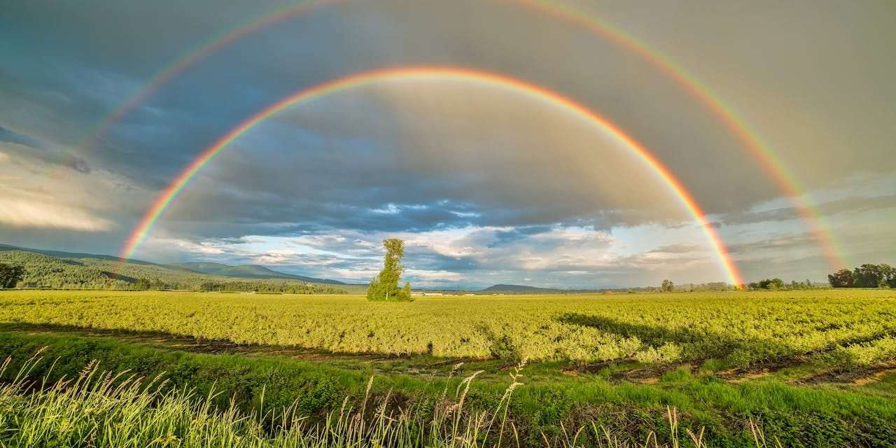 The Rainbow of Pain and Pleasure