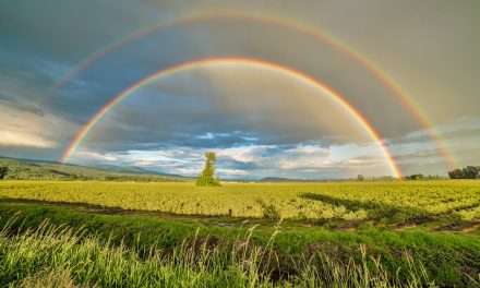 The Rainbow of Pain and Pleasure